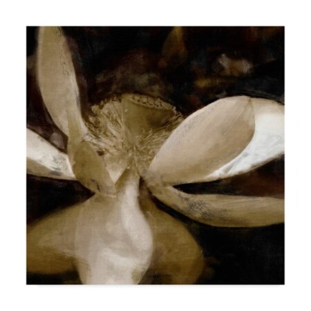 Trademark Fine Art
